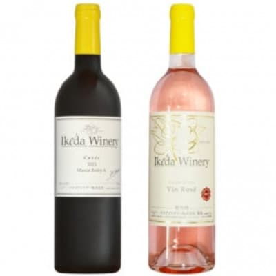 イケダワイナリー 2本セット【マスカットベリーA / ヴァン・ロゼ】B12-674