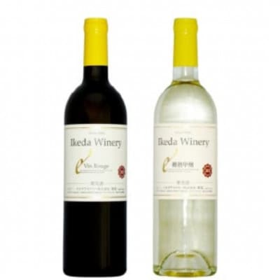 イケダワイナリー 2本セット【ヴァン・ルージュ / 樽熟甲州】B12-670