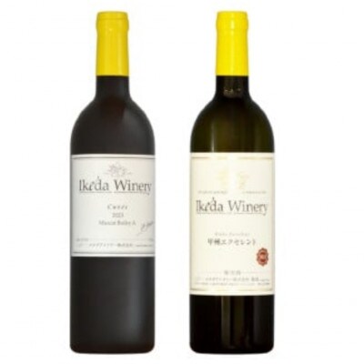 イケダワイナリー 2本セット【マスカットベリーA / 甲州エクセレント】B12-672