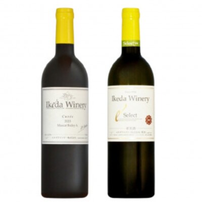 イケダワイナリー 2本セット【マスカットベリーA / セレクト白】B14-662