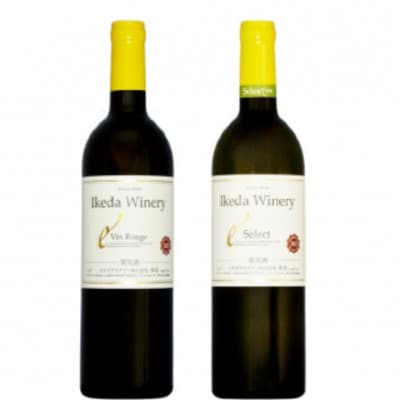 イケダワイナリー 2本セット【ヴァン・ルージュ / セレクト白】B14-663