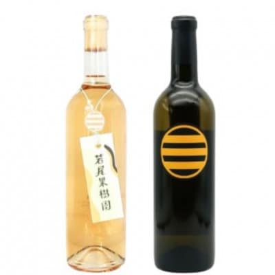 マルサン葡萄酒 若尾果樹園 醸し甲州 計2本セット　B18-672