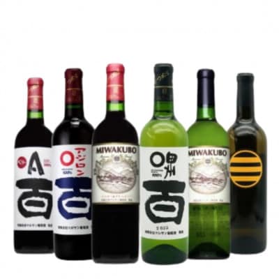 マルサン葡萄酒 6本セット【2】E5-481