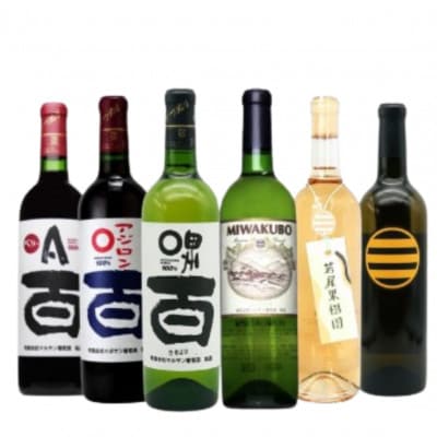 マルサン葡萄酒 6本セット【3】E5-482