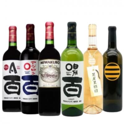 マルサン葡萄酒 6本セット【4】E5-483