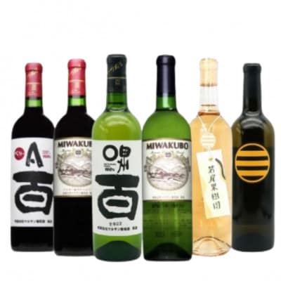 マルサン葡萄酒 6本セット【5】E9-480