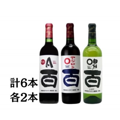 マルサン葡萄酒 ベリーA 百 アジロン 百 甲州 百 各2本 計6本セット　D7-663
