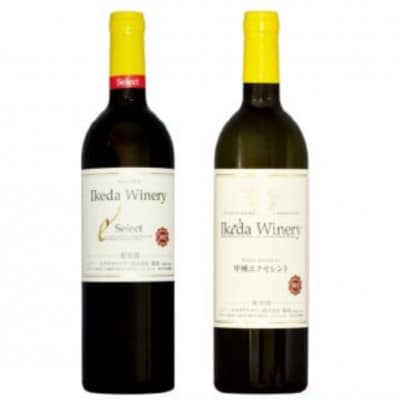 イケダワイナリー 2本セット【セレクト赤 / 甲州エクセレント】B15-751