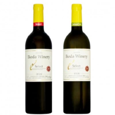 イケダワイナリー 2本セット【セレクト赤 / セレクト白】B16-653