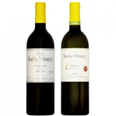 イケダワイナリー 2本セット【グラン・キュヴェ メルロー / セレクト白】C-1670