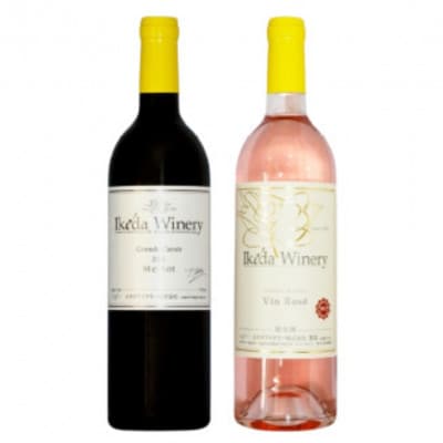 イケダワイナリー 2本セット【グラン・キュヴェ メルロー / ヴァン・ロゼ】B18-662