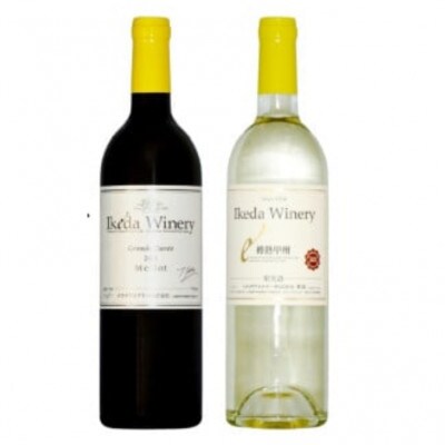 イケダワイナリー 2本セット【グラン・キュヴェ メルロー / 樽熟甲州】B18-657