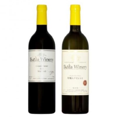 イケダワイナリー 2本セット【グラン・キュヴェ メルロー / 甲州エクセレント】B18-659