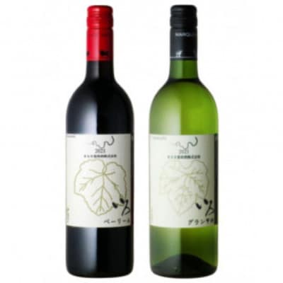 まるき【いろシリーズ】2本 いろベーリーA いろグラン甲州　B13-654