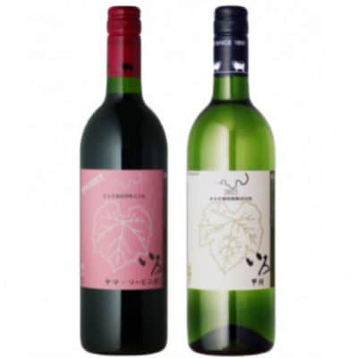 まるき【いろシリーズ】2本 いろヤマ・ソービニオン いろ甲州　B13-658