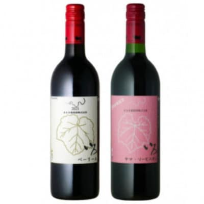 まるき【いろシリーズ】計2本 いろベーリーA いろヤマ・ソービニオン　B13-655