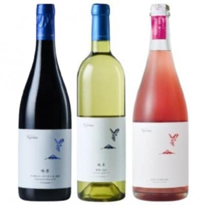フジクレール 吟果マスカット・ベーリーA・峡東甲州・ロゼスパークリング 計3本セット　C9-651