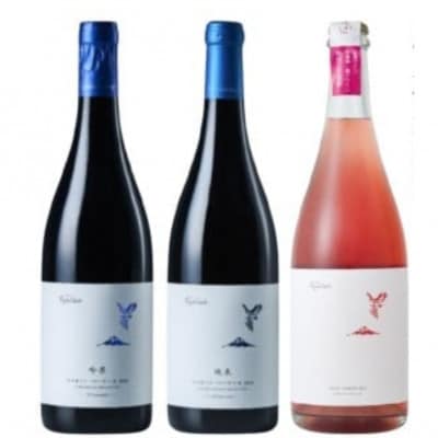 フジクレール 吟果マスカット・ベーリーA・峡東マスカット・ベーリーA・ロゼスパークリング D-686