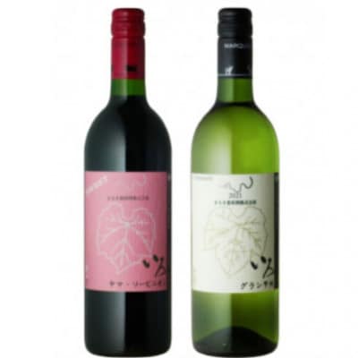 まるき【いろシリーズ】計2本 いろヤマ・ソービニオン いろグラン甲州 B14-654