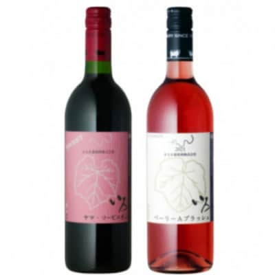 まるき【いろシリーズ】計2本 いろヤマ・ソービニオン いろベーリーAブラッシュ B14-658