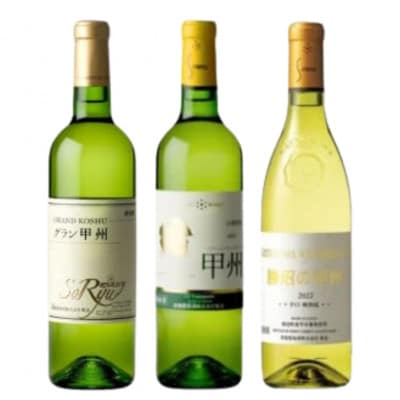 蒼龍葡萄酒おすすめ白ワイン3本セット B19-489