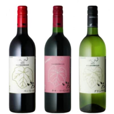 まるき【いろシリーズ】計3本 いろベーリーA いろヤマ・ソービニオン いろグラン甲州 C-1655