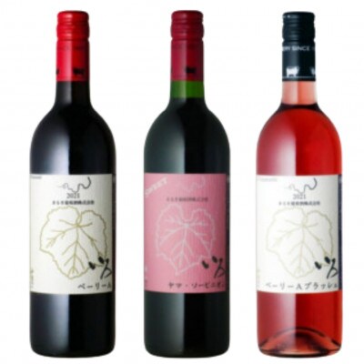 まるき【いろシリーズ】計3本いろベーリーAいろヤマ・ソービニオンいろベーリーAブラッシュC-1659