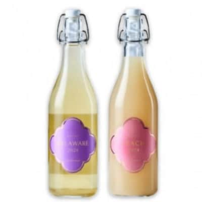 フジクレール クラノオト デラウェア・桃 計2本セット　B14-669