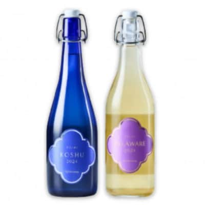 フジクレール クラノオト 甲州辛口・デラウェア 2本セット　B14-664