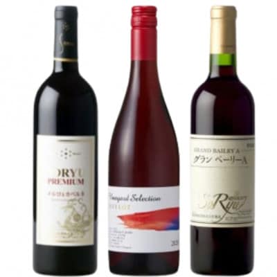 蒼龍葡萄酒おすすめ赤ワイン3本セット　C1-485