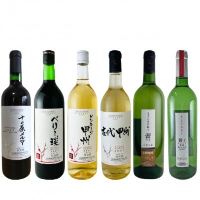 大和葡萄酒が贈る赤白6本満喫セット　E1-650