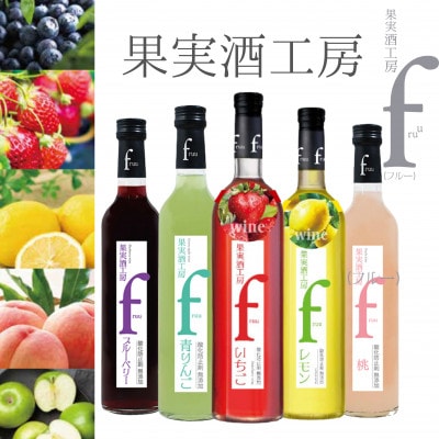 シャトー勝沼 果実酒工房fruu 5本セット　B15-701