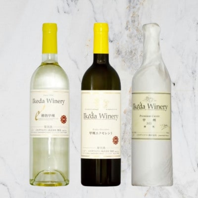 イケダワイナリー甲州ワイン3本セット　C-694