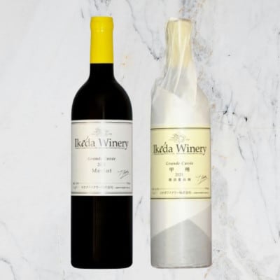 イケダワイナリー【グラン・キュヴェ 甲州/グラン・キュヴェ メルロー】2本セット　C4-656