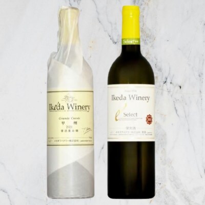 イケダワイナリー【グラン・キュヴェ 甲州/セレクト白】2本セット　C-489