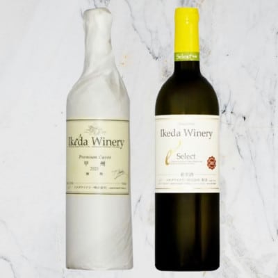 イケダワイナリー【プレミアム・キュヴェ 甲州/セレクト白】2本セット　B15-754
