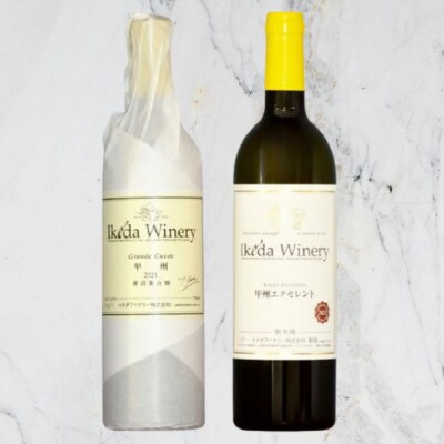 イケダワイナリー【グラン・キュヴェ 甲州/甲州エクセレント】2本セット　B19-492