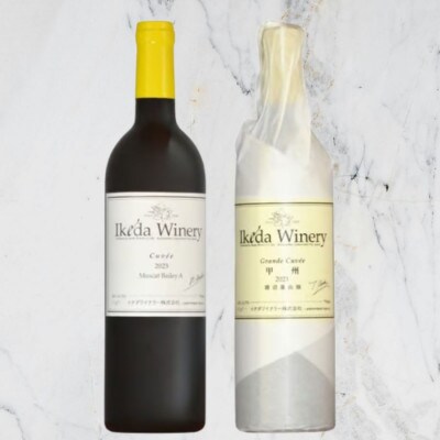 イケダワイナリー【グラン・キュヴェ 甲州/マスカットベリーA】2本セット　B18-675