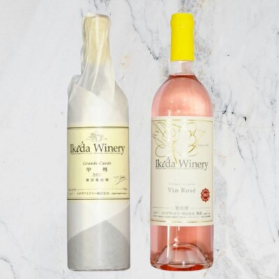 イケダワイナリー【グラン・キュヴェ 甲州/ヴァン・ロゼ】2本セット　B18-674