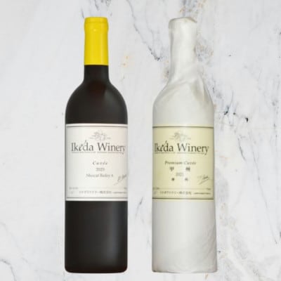 イケダワイナリー【プレミアム・キュヴェ 甲州/マスカットベリーA】2本セット　B14-676