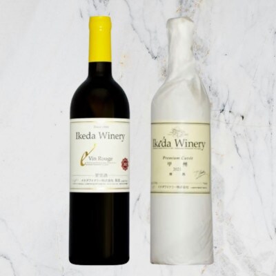 イケダワイナリー【プレミアム・キュヴェ 甲州/ヴァン・ルージュ】2本セット　B14-677