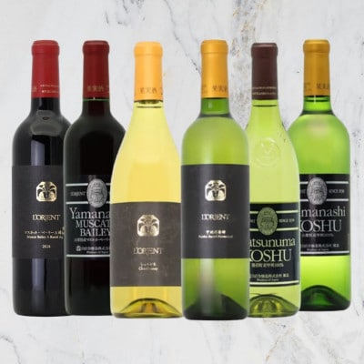 ロリアン おすすめ6本セット　I7-480