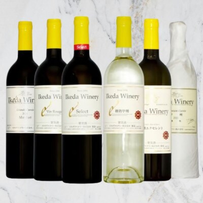 イケダワイナリーおすすめ赤白6本セット　E6-670
