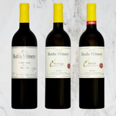 イケダワイナリーおすすめ赤ワイン3本セット　C7-654