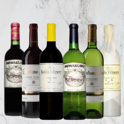 甲州市 厳選ワイン6本セット　H9-480