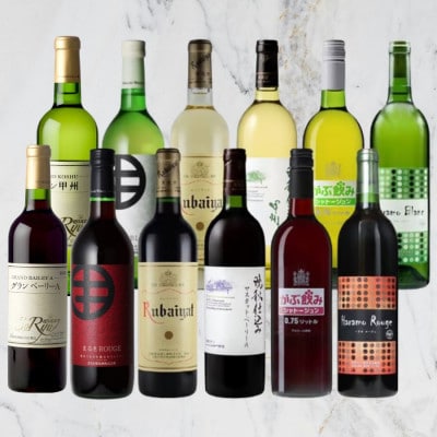 甲州市スタンダードワイン 12本セット　H1-480