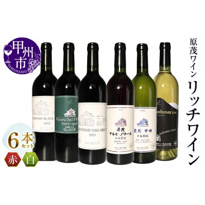 原茂ワイン　リッチワイン6本セット　H5-650