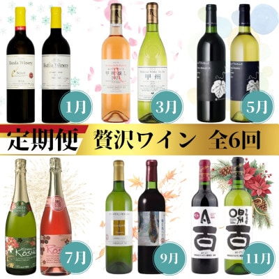 【発送月固定定期便】甲州市贅沢ワイン定期便全6回