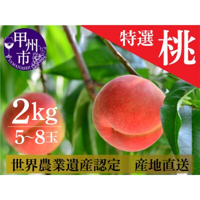 桃 2kg (5～8玉)  山梨県甲州市　　　　　　　【令和6年産 先行受付】 数量限定 季節限定