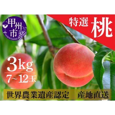 桃 3kg (7～12玉) 山梨県甲州市　　　　　　　　　【令和6年産 先行受付】産地直送 季節限定